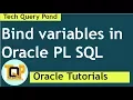 Oracle tutorial Bind variables in PL SQL