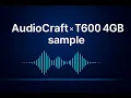 AudioCraft Soul 1