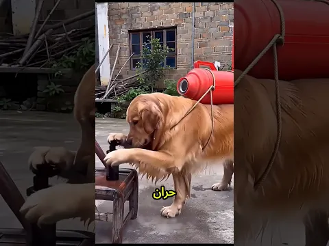 ينهار! إنت رابط الزمزمية بتاعتي ليه فوق ضهرك؟!😱🎒🔥