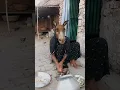 Download Lagu Ek Mota Hathi ghumne Gaya #youtubeshorts #funny 😝😆😝 #trending 🔥🔥 #shoers