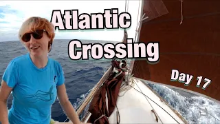 IT’S HAPPENING: Exciting Moment | Sailing Wisdom [S3 Ep30]