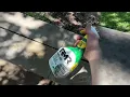 I Put the RMR-86 Mold Remover to a Challenging Test