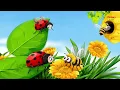Tiny Insects - Adorable Bug World Coloring Activity Book for Kids Primary Plus