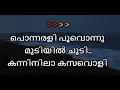 Download Lagu Ponnarali Poovonnu Karaoke With Lyrics MP3