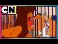 Download Lagu Looney Tunes🐰| Non-stop Fun 🤩| Let the Looney Fun Begin! 🤪 | 90s Cartoons | @cnindia