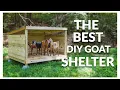 THE BEST DIY GOAT SHELTER(SO EASY)