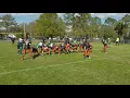 The Double Wing Offense in Youth Football