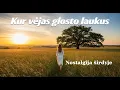 Download Lagu Kur vėjas glosto laukus | Muzika Kuri Veža