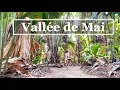 Download Lagu Vallée de Mai Nature Reserve in Praslin, Seychelles | 4k