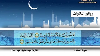 القارئ سيد متولي عبد العال ـ سورة النحل 