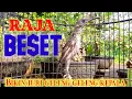Download Lagu Tembakkan Pijantung Gunung paling SERAM
