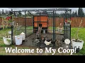 TSC Producer s Pride Defender Chicken Coop Build Ref 12 Chicken Capacity Start to Finish