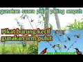 Download Lagu Pikat burung mengunakan suara pikat burung kecil ribut paling ampuh