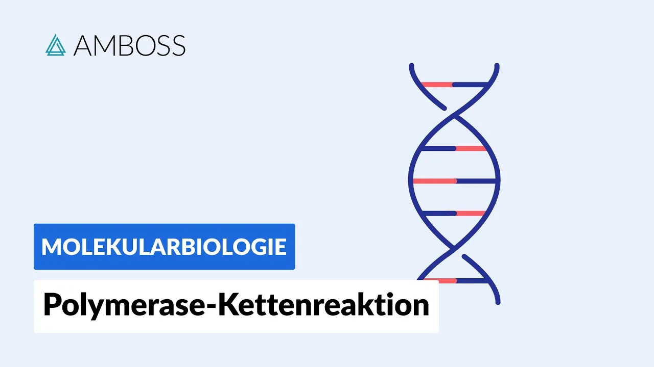 Polymerase-Kettenreaktion (PCR) - Biochemie - Labormethoden - AMBOSS Video