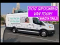 Inside Our Grooming Van The Wag n Tails Mobile Experience