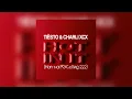 Tiesto & Charli XCX - Hot In It (Hamvai PG Cutleg 222)