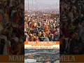 Maha Kumbh Mela 2025: World's Largest Gathering in India takes pace