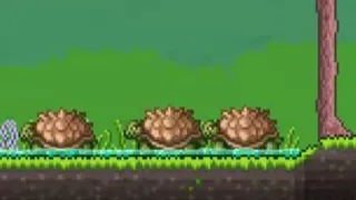 Giant Tortoise is PAIN