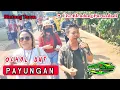 Download Lagu ANDI PUTRA 1 Payungan Voc Ochol Dut Live Blendung Purwadadi Tgl 13 Juli 2024
