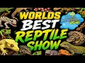 Daytona National Reptile Breeders Expo 2026 Worlds best reptile show part 3