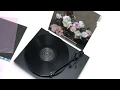 Download Lagu New Order - Age of Consent (Official Vinyl Video)