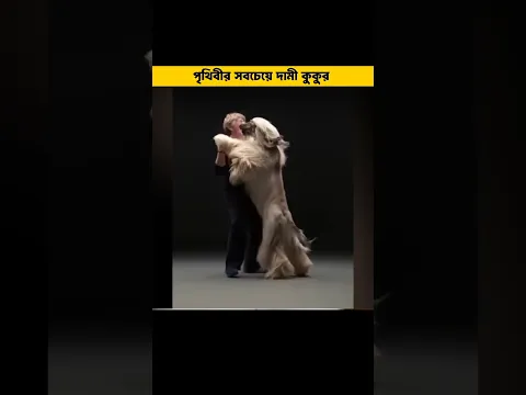 দুনিয়ার সবচেয়ে দামি কুকুর 😀#shorts #shortsvideo #facts