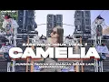 Lagu DJ CAMELIA - SUNGGUH TAKKAN KU BIARKAN || STYLE BASS NGUK NGUK