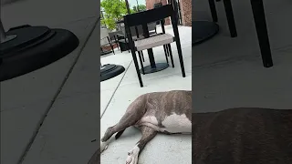 chilling 1 