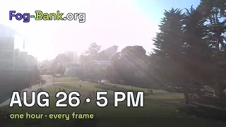FogCam August 26 2026 5 pm PT one hour every frame