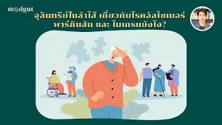 การดูแลจุลินทรีย์ในลำไส้ช่วยลดความเสี่ยงอัลไซเมอร์ได้ไหม