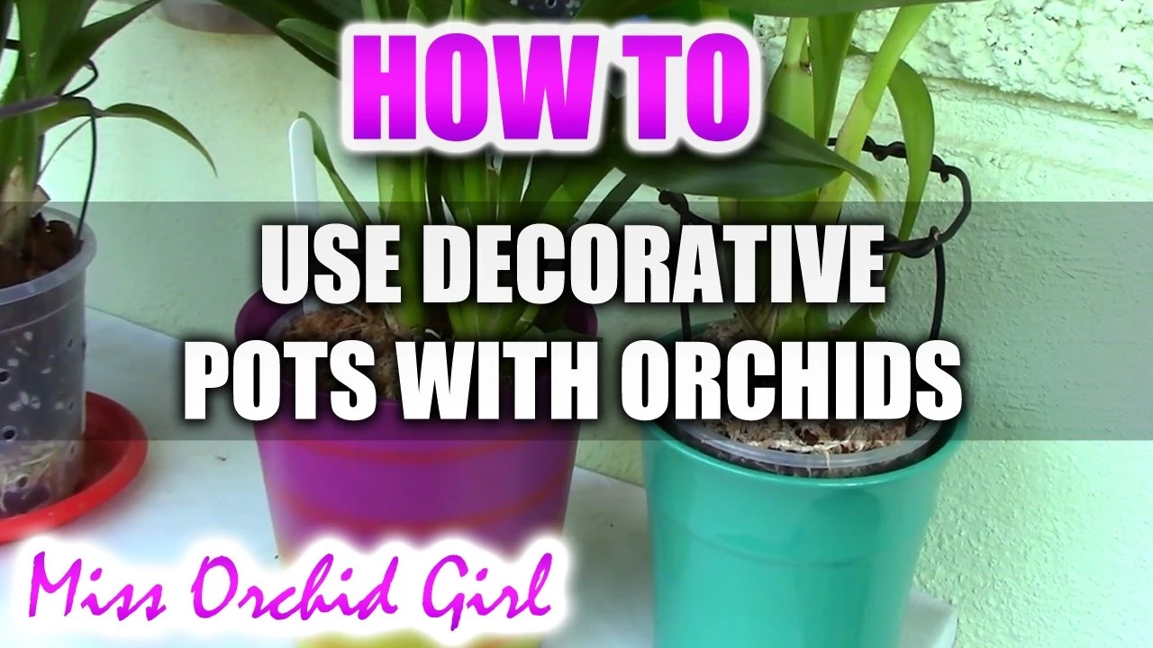 HOW TO USE DECORATIVE POTS WITH ORCHIDS