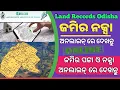 How to Check Odisha Land Records Naksha Land Map Pata Naksha Naksha view