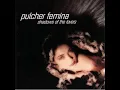 Download Lagu Pulcher Femina - Shadows Of The Lovers 2002 | Full | Darkwave - Synthpop
