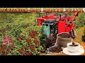Pertanian Kopi Modern Dari Brasil | Rahasia Dibalik Negara Produksi Kopi Terbesar Di Dunia