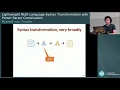 Lightweight Multi-Language Syntax Transformation with Parser Parser Combinators