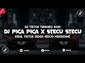 Download Lagu DJ PICA PICA X STECU STECU JJ VIRAL TIKTOK 2025 MENGKANE