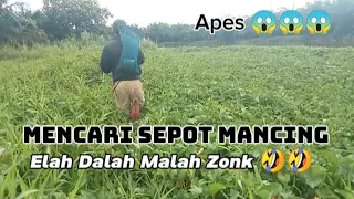 Download Berburu Ikan Monster - Kesana Kemari Nyari Sepot - Malah Ikannya Pd Puasa😂 @Alfinmaulanachenel MP3