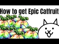 How to get Epic catfruit in battle cats - battle cats-