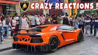 flame thrower aventador fully modified lamborghini crazy flyby sounds u0026 revving reactions 