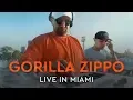 Download Lagu Gorilla Zippo - Live in Miami