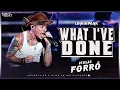 Linkin Park - What I've Done - VERSÃO FORRÓ ( KarnyX no Beat )