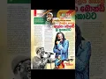 Download Lagu Reggae Legend Alpha Blondy Arrives in Sri Lanka 💚🫶❤️#alphablondy #america #alpha blondy #bobmarley