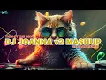 DJ JOANNA v2 MASHUP (SAPILAN REMIX) THAI STYLE 2024