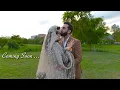 Download Lagu کلیپ فرمالیته محفل نامزدی سمیر صدیقی  برنامه مکمل فردا شب