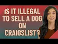 Is it illegal to sell a dog on Craigslist