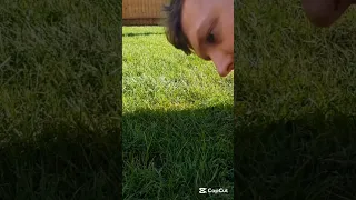 هادا الرجل صار يسمع اصوات مزعجة من تحت الارض وفجأة صدم الجميع Shorts Fyp 