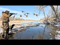 Solo Duck Hunting A TINY Warm Water Creek