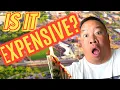 The REAL COST of living in Fayetteville North Carolina