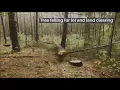 Attleboro Tree Removal Services - Fast Reliable and Affordable Tree Service in Attleboro