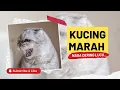 Download Lagu Another Nada Dering | Kucing Marah Marah
